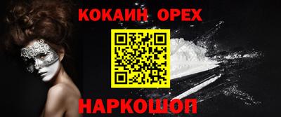 шишки Кандалакша