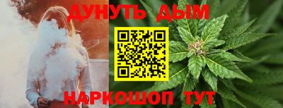 шишки Кандалакша