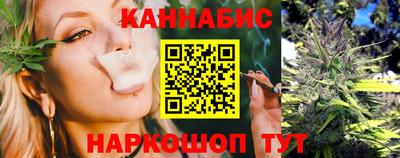 шишки Кандалакша