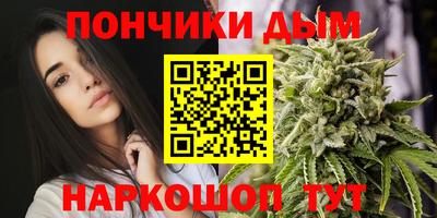 шишки Кандалакша