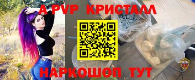 шишки Кандалакша
